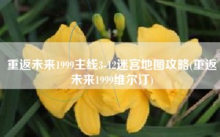 重返未来1999主线3-12迷宫地图攻略(重返未来1999维尔汀)