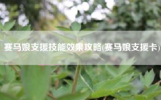 赛马娘支援技能效果攻略(赛马娘支援卡)