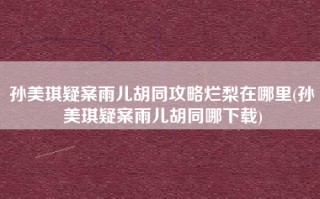 孙美琪疑案雨儿胡同攻略烂梨在哪里(孙美琪疑案雨儿胡同哪下载)