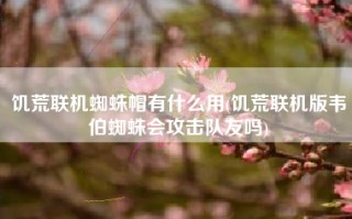 饥荒联机蜘蛛帽有什么用(饥荒联机版韦伯蜘蛛会攻击队友吗)