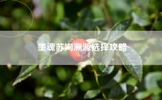 墨魂苏洵溯源选择攻略