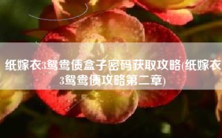 纸嫁衣3鸳鸯债盒子密码获取攻略(纸嫁衣3鸳鸯债攻略第二章)