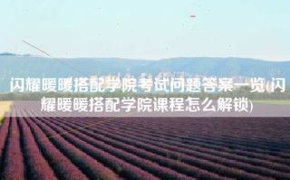 闪耀暖暖搭配学院考试问题答案一览(闪耀暖暖搭配学院课程怎么解锁)