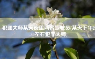 犯罪大师某天夜里两名驾驶员(某天下午2-30左右犯罪大师)