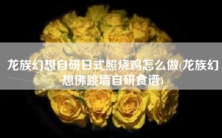 龙族幻想自研日式照烧鸡怎么做(龙族幻想佛跳墙自研食谱)