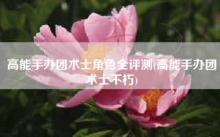 高能手办团术士角色全评测(高能手办团术士不朽)