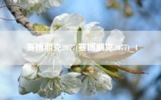 赛博朋克2077(赛博朋克2077)_4