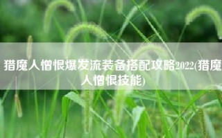 猎魔人憎恨爆发流装备搭配攻略2022(猎魔人憎恨技能)