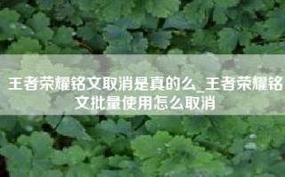 王者荣耀铭文取消是真的么_王者荣耀铭文批量使用怎么取消