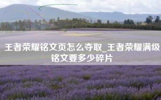 王者荣耀铭文页怎么夺取_王者荣耀满级铭文要多少碎片