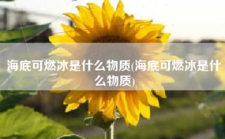 海底可燃冰是什么物质(海底可燃冰是什么物质)