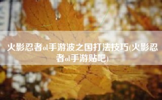 火影忍者ol手游波之国打法技巧(火影忍者ol手游贴吧)