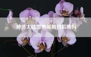 神迹大陆雪熊能用到后期吗
