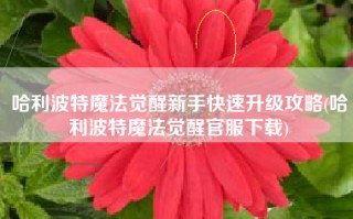 哈利波特魔法觉醒新手快速升级攻略(哈利波特魔法觉醒官服下载)
