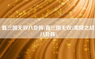 真三国无双八卦阵(真三国无双5夷陵之战八卦阵)
