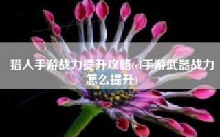 猎人手游战力提升攻略(cf手游武器战力怎么提升)