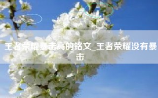 王者荣耀暴击高的铭文_王者荣耀没有暴击