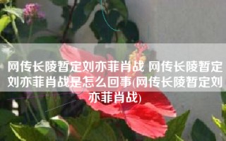 网传长陵暂定刘亦菲肖战 网传长陵暂定刘亦菲肖战是怎么回事(网传长陵暂定刘亦菲肖战)