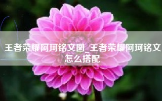 王者荣耀阿珂铭文图_王者荣耀阿珂铭文怎么搭配
