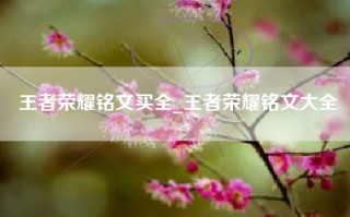王者荣耀铭文买全_王者荣耀铭文大全