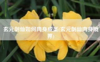 玄元剑仙如何肉身成圣(玄元剑仙肉身境界)