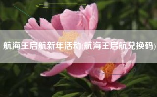 航海王启航新年活动(航海王启航兑换码)