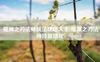 魔渊之刃法师玩法攻略大全(魔渊之刃法师技能搭配)