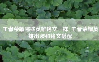 王者荣耀哪些英雄铭文一样_王者荣耀英雄出装和铭文搭配