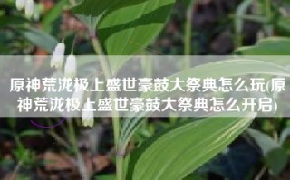 原神荒泷极上盛世豪鼓大祭典怎么玩(原神荒泷极上盛世豪鼓大祭典怎么开启)