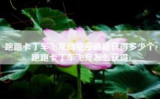跑跑卡丁车飞龙腾空密函能获得多少个(跑跑卡丁车飞宠怎么获得)