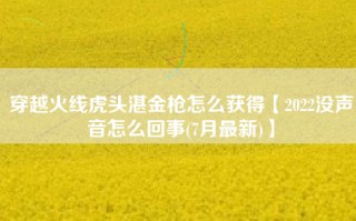 穿越火线虎头湛金枪怎么获得【2022没声音怎么回事(7月最新)】