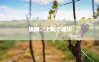 黑潮之上抽卡建议