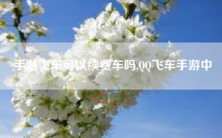手游飞车可以续费车吗,QQ飞车手游中