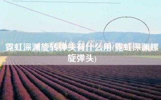 霓虹深渊旋转弹头有什么用(霓虹深渊螺旋弹头)