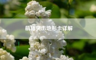 萌猪突击地形卡详解