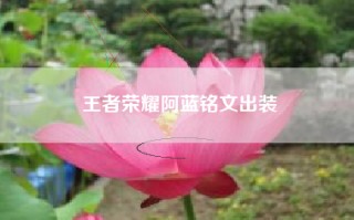 王者荣耀阿蓝铭文出装