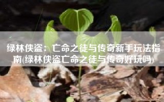 绿林侠盗：亡命之徒与传奇新手玩法指南(绿林侠盗亡命之徒与传奇好玩吗)