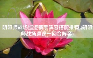 阴阳师战场巡逻新手阵容搭配推荐 (阴阳师战场巡逻一回合阵容)