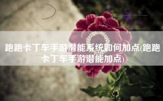 跑跑卡丁车手游潜能系统如何加点(跑跑卡丁车手游潜能加点)