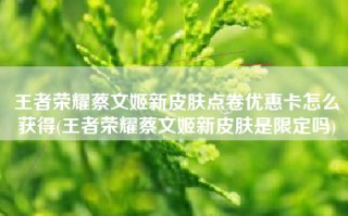 王者荣耀蔡文姬新皮肤点卷优惠卡怎么获得(王者荣耀蔡文姬新皮肤是限定吗)
