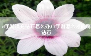 cf手游误充钻石怎么办,CF手游怎么才能刷钻石