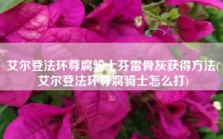 艾尔登法环尊腐骑士芬雷骨灰获得方法(艾尔登法环尊腐骑士怎么打)
