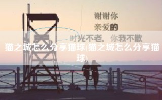 猫之城怎么分享猫球(猫之城怎么分享猫球)