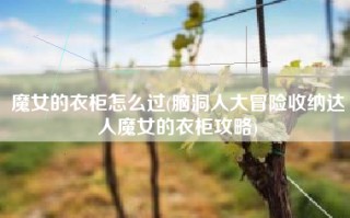 魔女的衣柜怎么过(脑洞人大冒险收纳达人魔女的衣柜攻略)
