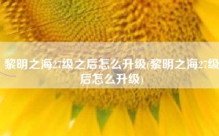 黎明之海27级之后怎么升级(黎明之海27级后怎么升级)