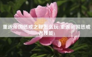 重返帝国惩戒之鞭怎么玩(重返帝国惩戒者技能)