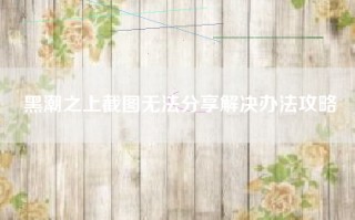 黑潮之上截图无法分享解决办法攻略