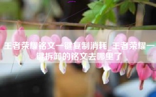 王者荣耀铭文一键复制消耗_王者荣耀一键拆卸的铭文去哪里了