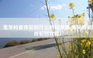 鬼哭岭夏夜轮回什么时候发售(鬼哭岭夏夜轮回攻略)