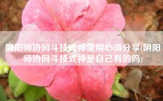 阴阳师协同斗技式神使用心得分享(阴阳师协同斗技式神是自己有的吗)